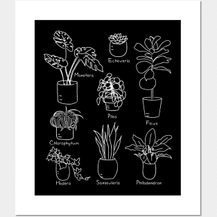 Hand Drawn Indoor Plants for Plant Lovers and Lovers of Cottage Core Posters and Art